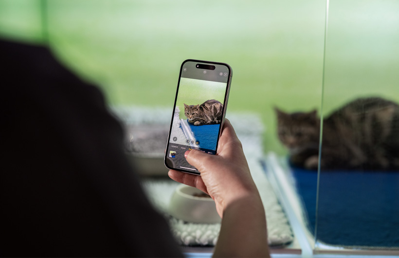 Os enfermeiros usam o iPhone para enviar imagens dos animais, para maior tranquilidade.