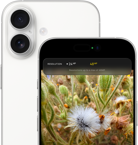 Group selfie with Centre Stage for photos feature