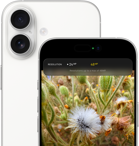 白色 iPhone 17,機身背面展示圓角設計、左上角的雙融合相機系統;機身正面展示動態島、圓角設計