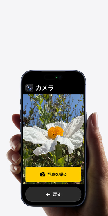 iPhone 17 Proの画面に表示されている簡略化されたカメラアプリのインターフェイス。フレームに入った白い花の下に「写真を撮る」ボタンと「戻る」ボタンが表示されている