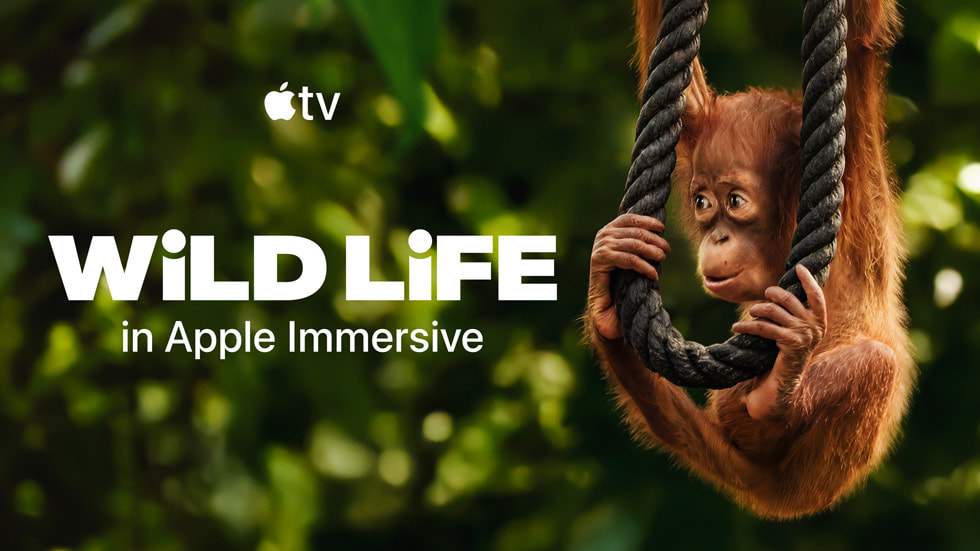 An image of Apple Immersive art for “Wild Life”.