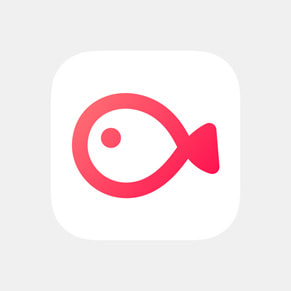 The VLLO app icon.